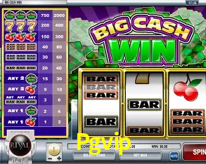 Descubra o Mundo do Cassino Online com Pgvip
