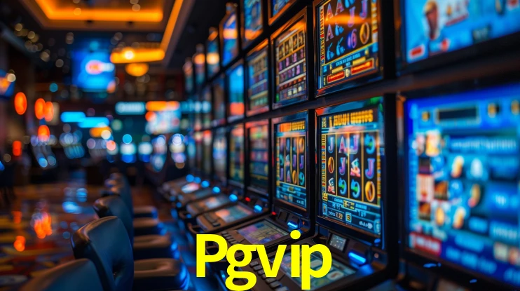 Bonus Features Pgvip