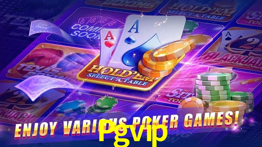 Login Seguro Pgvip