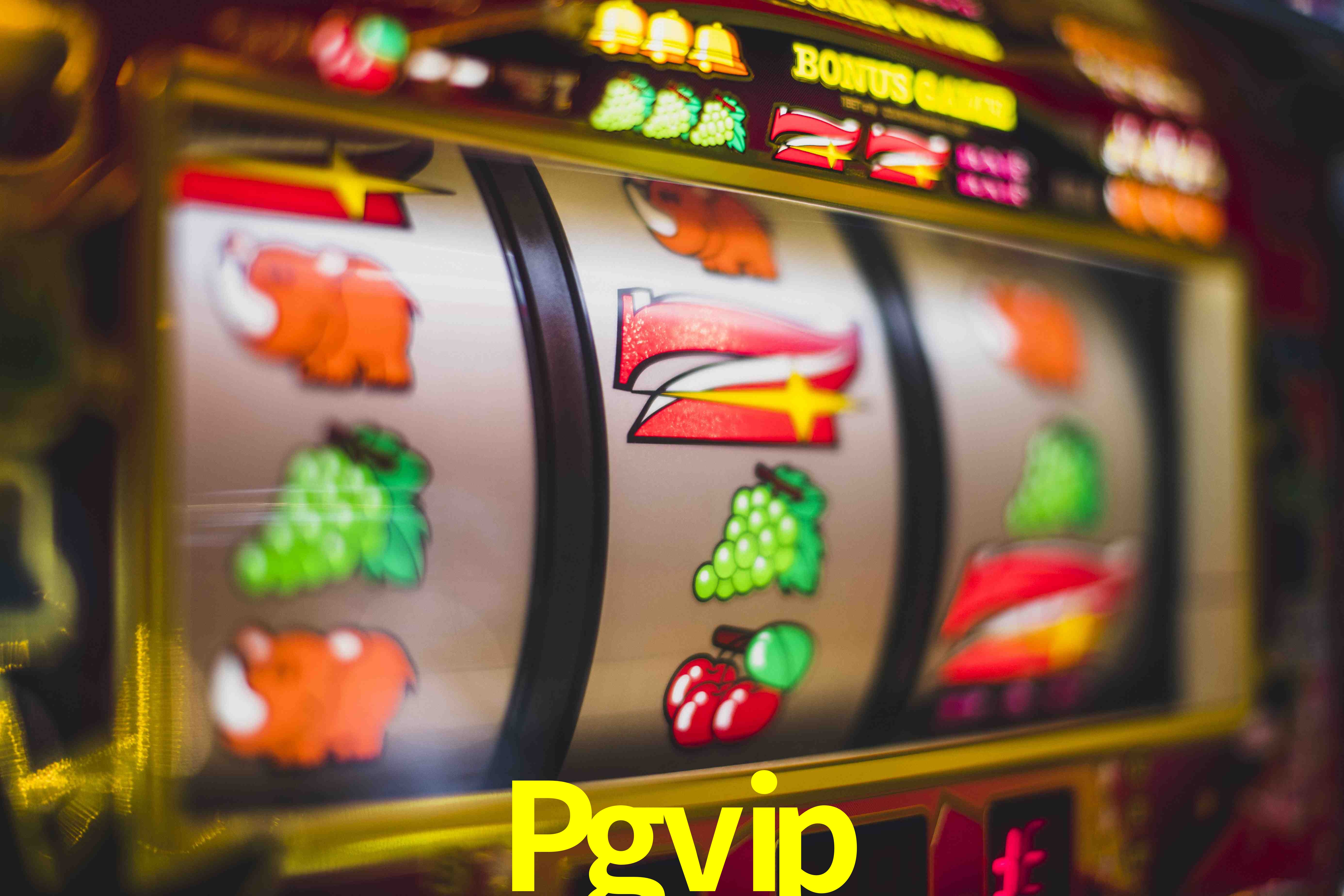 Daily Bonuses Pgvip